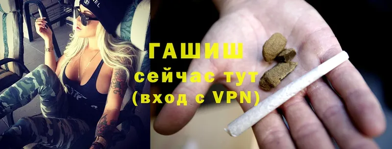 купить закладку  Тосно  Гашиш Premium 